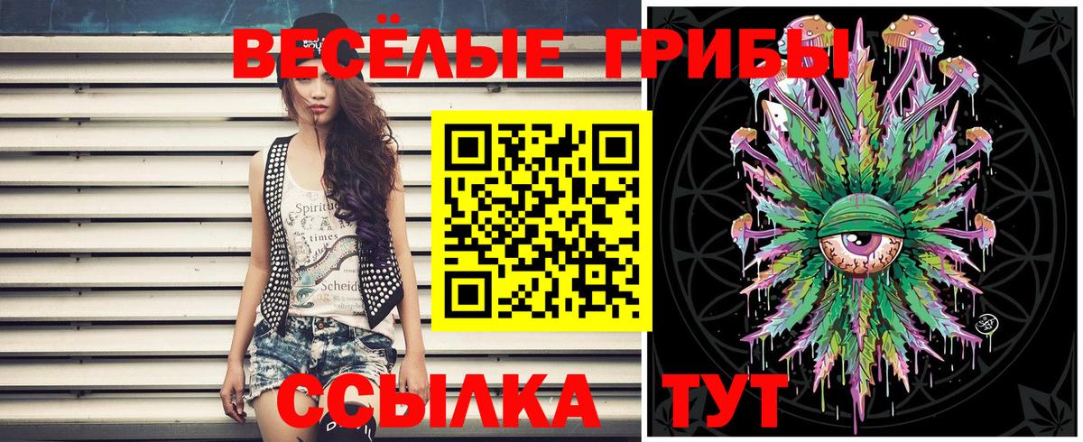 Псилоцибиновые грибы Magic Shrooms  Вход с VPN  Строитель 